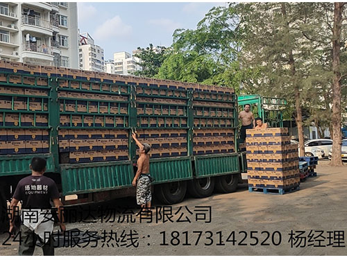 &#31859;&#20848;&#23448;&#26041;&#32593;&#39029;&#29256;&#45;&#31859;&#20848;&#77;&#105;&#76;&#97;&#110;&#40;&#20013;&#22269;&#41;