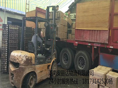 &#31859;&#20848;&#23448;&#26041;&#32593;&#39029;&#29256;&#45;&#31859;&#20848;&#77;&#105;&#76;&#97;&#110;&#40;&#20013;&#22269;&#41;